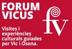 Forum Vicus