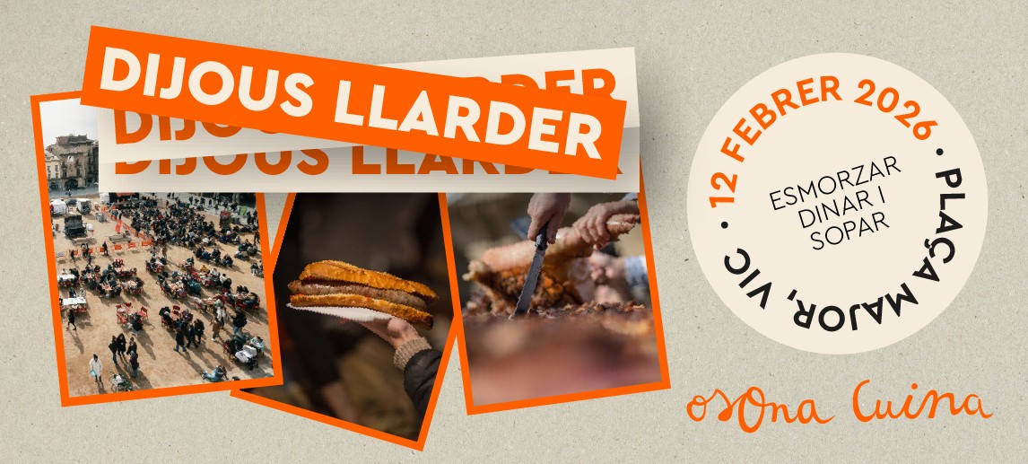 DIJOUS LLARDER 